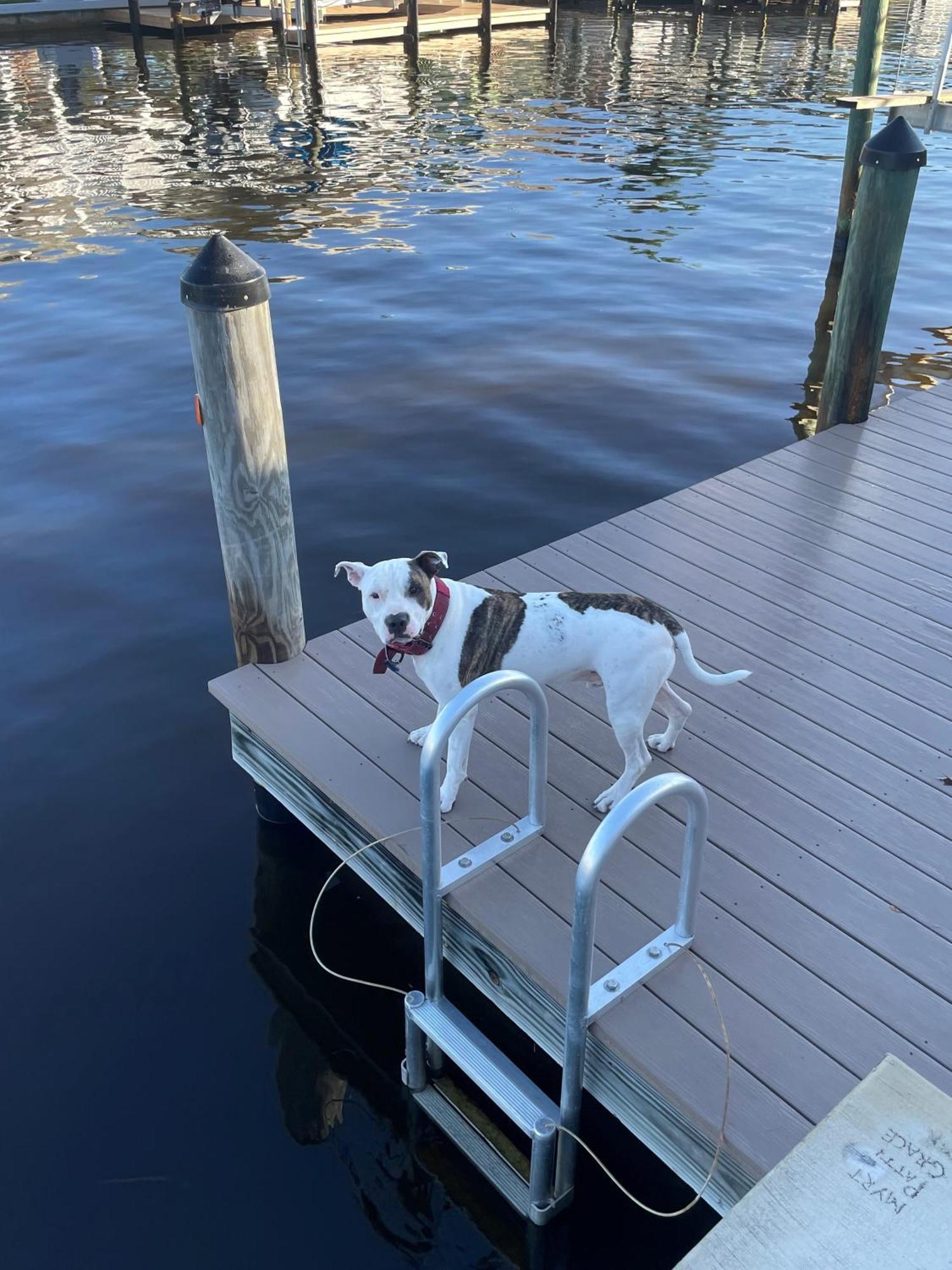 Villa Hot Tub And Dock Gilligan'S On The Island Matlacha Exterior foto